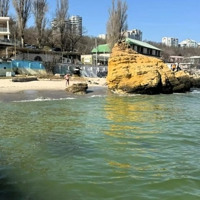 В Одесі зафіксували забруднення моря: у воді виявили підвищений вміст жирів і масел