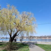 Благовіщення 25 березня: що означає свято та які традиції збереглися