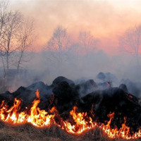 У Петрівсько-Роменській громаді пд час спалювання листя загинула літня жінка