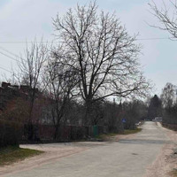 Погода у Старокостянтинові на 31 березня - 5 квітня: коли прийде справжнє весняне тепло