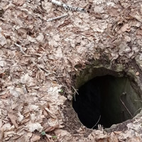 У кременецькому ботанічному саду — приховані пастки: відвідувачів закликають бути обережними