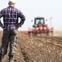 Полтавська облрада спрямувала 10 млн грн на підтримку тваринництва та фермерів