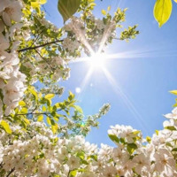 Південноукраїнська весна з характером: повний розклад дощів, вітру та сонця на 20-26 квітня