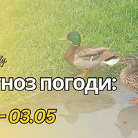 Черкащину накрив арктичний холод, але тепло ще попереду