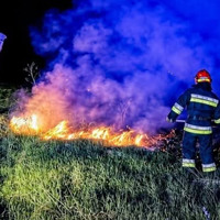 На Кременеччині за добу ліквідували дві пожежі сухої трави
