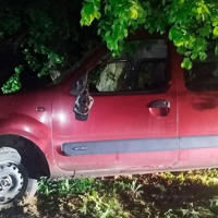 На Гадяччині п'яний врізався в дерево: відкрите кримінальне провадження