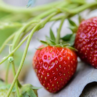 Літо набирає обертів: прогноз погоди на Гадяччині з 8 по 14 червня