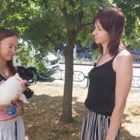 Собачі «сюрпризи» на тротуарах: чи допоможуть штрафи? Опитування у Південноукраїнську