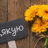 Подяка за професійність і людяність лікарю: звернення підписниці Гард.City