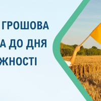 Хто може отримати разову грошову виплату до Дня Незалежності