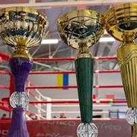 Чемпіонат з боксу, турнір з волейболу, змагання з дзюдо та настільного тенісу пройшли в Ізмаїлі