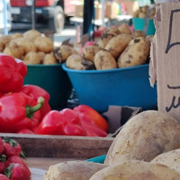 Молочка здешевшала, у продажу є спаржа і полуниця: що почому на ринку Первомайська у травні