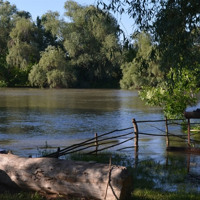 Саф'яни, Погоріле, Квашино, Драганове: звідки походять місцеві гідроніми пониззя Дністра