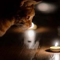 Більша частина Ізмаїла 7 лютого залишилася без світла