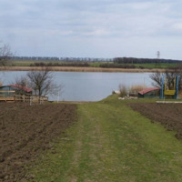 Равликова ферма під Ізмаїлом стане осередком відновлення тих, хто постраждав внаслідок війни