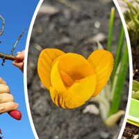 Місячний календар садівника та городника на березень 2026 року