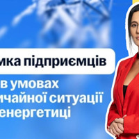 Ірина Борзова: про ФОП, податки й принципову позицію щодо підтримки бізнесу