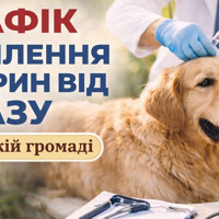 У Барській громаді оприлюднили графік щеплення тварин від сказу на квітень 2026 року