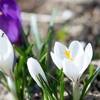 Погода у Старокостянтинові на 16-22 березня: прохолодно, сухо та коли чекати справжнє потепління