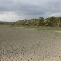 Окупаційна влада скаржиться на втрати врожаю на Херсонщині після підриву Каховської ГЕС