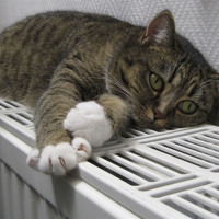 У Барській громаді завершується опалювальний сезон 2025–2026: коли вимкнуть тепло