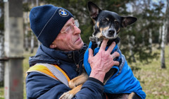 Запорізька спільнота рятує пса, викинутого з машини. Як можна допомогти?