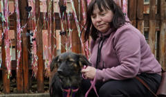 У Миколаєві пройшла перша виставка-прилаштування тварин Dog-market: скільки песиків знайшли сім’ю?