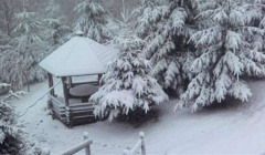 Буковель засипало снігом: вражаючі кадри зимової казки. Оголошено жовтий рівень небезпеки