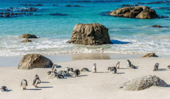 Куди їхати на відпочинок у 2026, щоб не потрапити у війну. Поради експертів