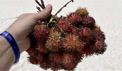 Занзібар активно українізується. 12 інсайдів з відпочинку на острові