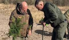 В Україні запустили реформу лісової галузі. «О, море» пояснює, як вона працює на Півдні
