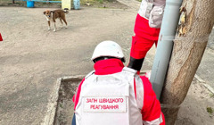 "Важливо не забувати про чотирилапих". Волонтери становили в Оріхові годівниці для покинутих тварин