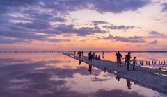 Путівник Арабатською Стрілкою. Інжир, рожеве озеро, нескінченний пляж