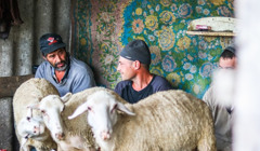 Тур Кубеєм. Що побачити і чим зайнятися в гагаузькому селі
