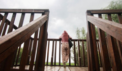 Острови й пелікани. Що подивитися, плаваючи на човні навколо Вилкового