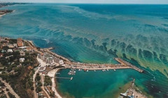 Іноді Чорне море зеленіє. Чому цвіте вода та чи безпечно в ній купатися
