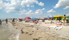 ​​​​​​​Медузи повернулися на морське узбережжя України. На які курорти поки що не варто їхати