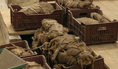 В Египте обнаружили необычную мумию, меняющею представление о древней истории