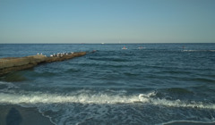 5 идей от гида для прогулки Одессой