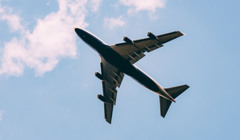 В Украине появился лоукостер Bees Airline: начнут с чартеров в Египет и планируют рейсы в Батуми