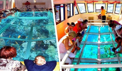 +1 причина поехать в Хургаду: там создали самую большую лодку со стеклянным дном