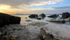 В Бердянске замерзло Азовское море: впечатляющие фото и видео 