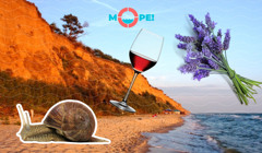 Гейзери, велосипеди, равлики. Куди поїхати до моря на День Святого Валентина