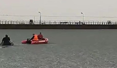 Спасали около 9 часов. В Мариуполе пять собак унесло на льдине