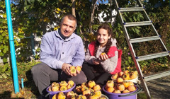 Хурма, зізіфус, інжир. Як в університетському саду у Херсоні вирощують екзотичні фрукти 