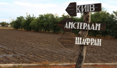 Шафран, спаржа та тюльпани. Як фермер на Херсонщині організував власний весняний фестиваль