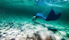Як "жива русалка" досліджує береги моря