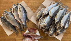 Його тараньку беруть з собою у Домінікану! Як херсонець змінив туристичний бізнес на тараньковий