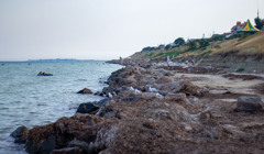 Веб-камеры Геническа