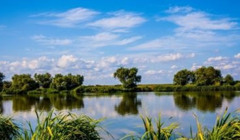 Два національні парки на українському узбережжі можна побачити онлайн